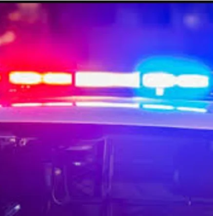 Holley Trochta Accident Death, Louise TX Obituary - East Bernard High School Student Died In Crash